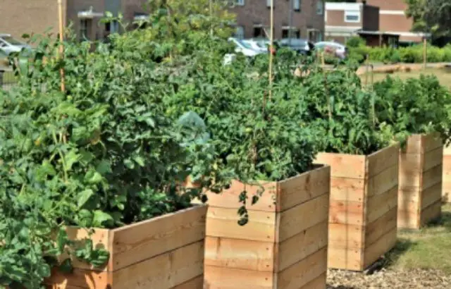 how to build a raised garden bed against a fence