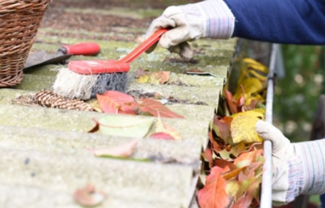 gutter removal service