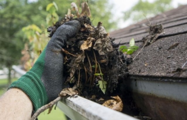 gutter removal tool