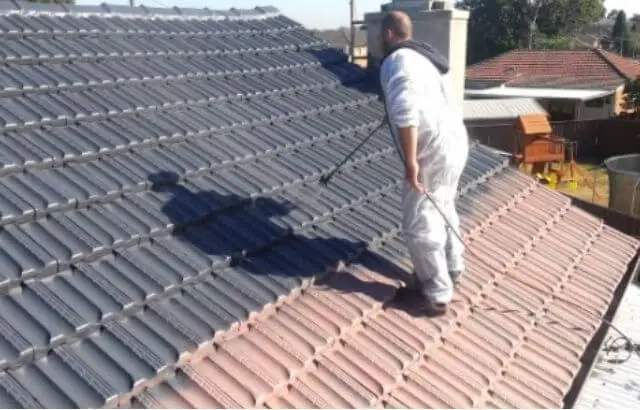 roof cleaning products