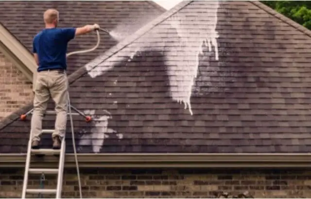 roof tiles paint