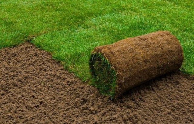how to grow grass in clay soil