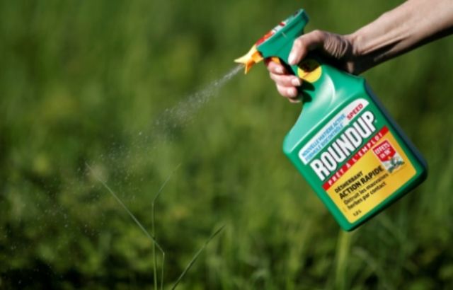 How to Neutralize Roundup