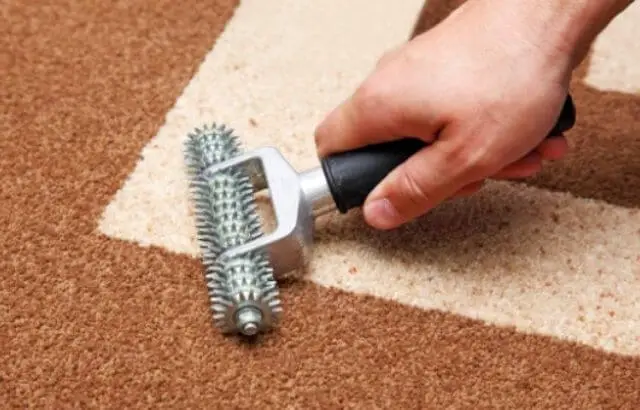 how often should carpet be cleaned