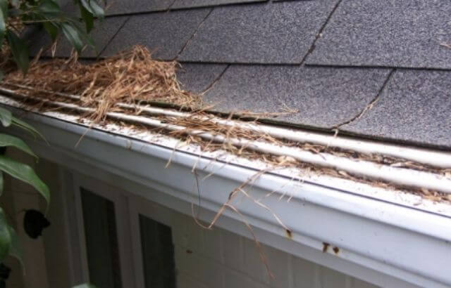 How to Clean Leaf Guard Gutters