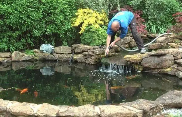 how to clean a pond without draining it
