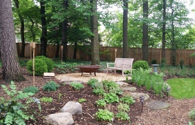 how to clear a wooded backyard
