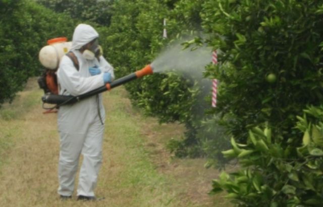 How to Get Rid of Bees under Siding