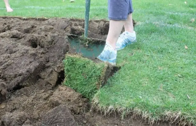 how to use a sod cutter to level ground