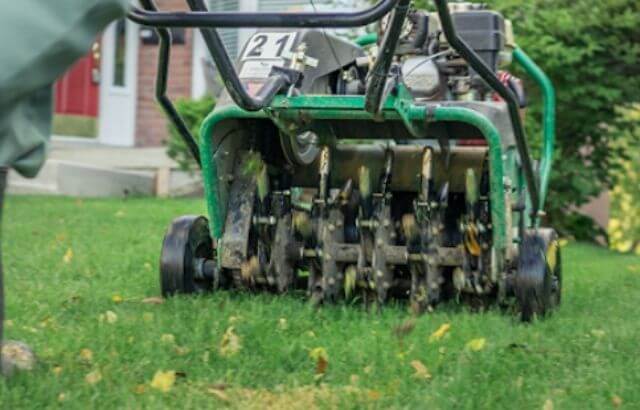 best lawn fertilizer after aeration