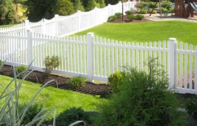 landscaping ideas to separate a yard with the neighbors
