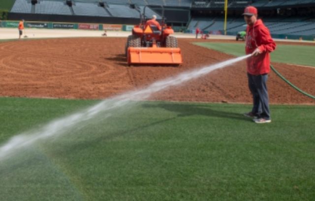 How Often to Water New Sod