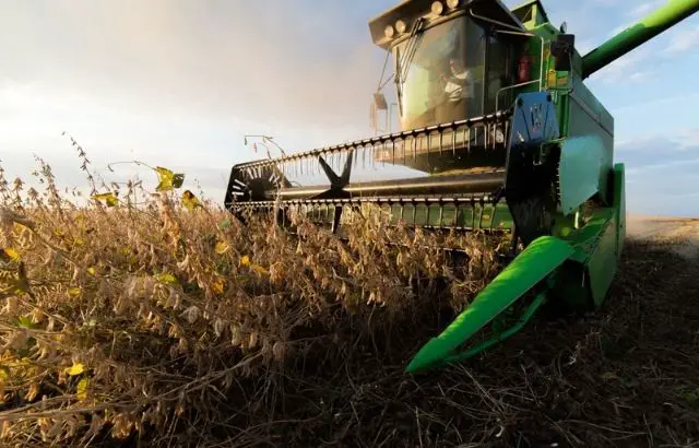 how to harvest soybeans