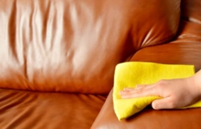 How to clean urine from polyester couch