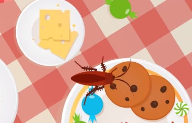 What kills cockroaches instantly
