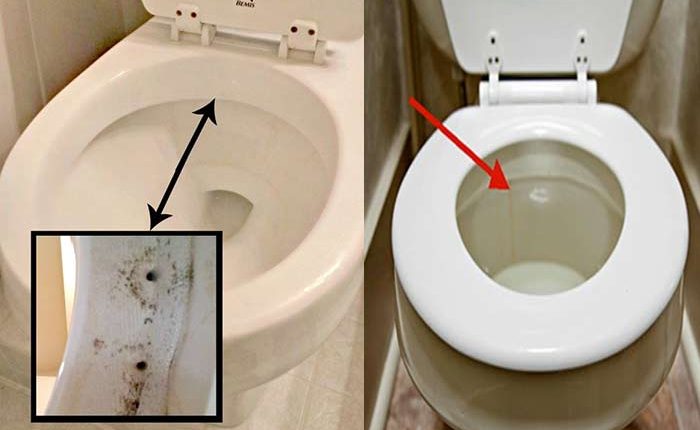 how to clean toilet siphons