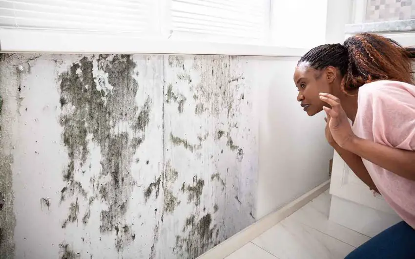 How To Get Rid Of Mold On Walls Permanently 9 Tips - How To Keep Mold Off Of Bathroom Walls