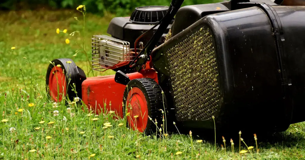 Best Lawn Mowers For Thick Grass