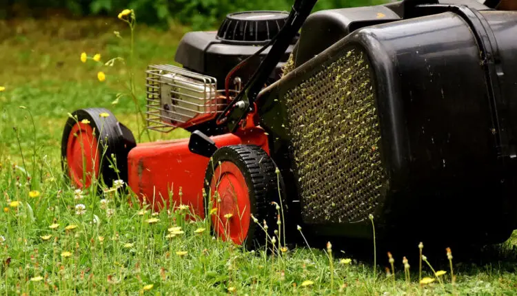 Best Lawn Mowers For Thick Grass