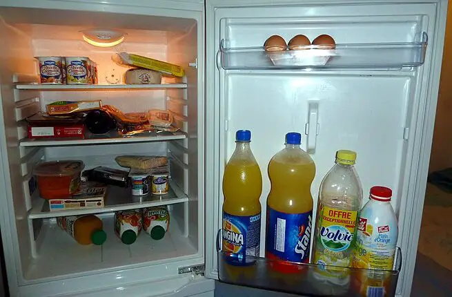 Freezer Vs. Refrigerator