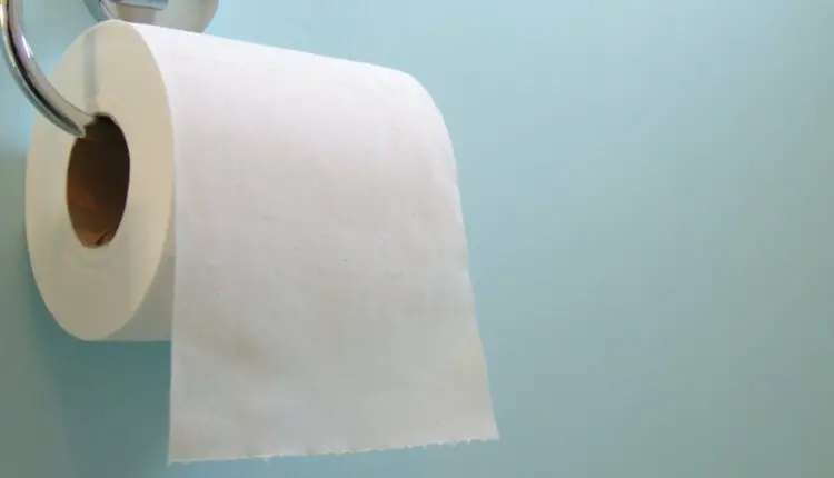 How Long Is A Toilet Paper Roll