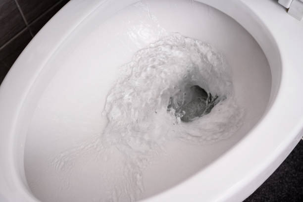 How Clean is the Toilet Water after Flushing?