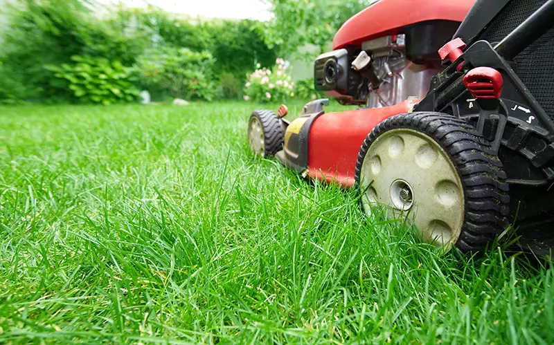 lawnmower for mowing thick grass