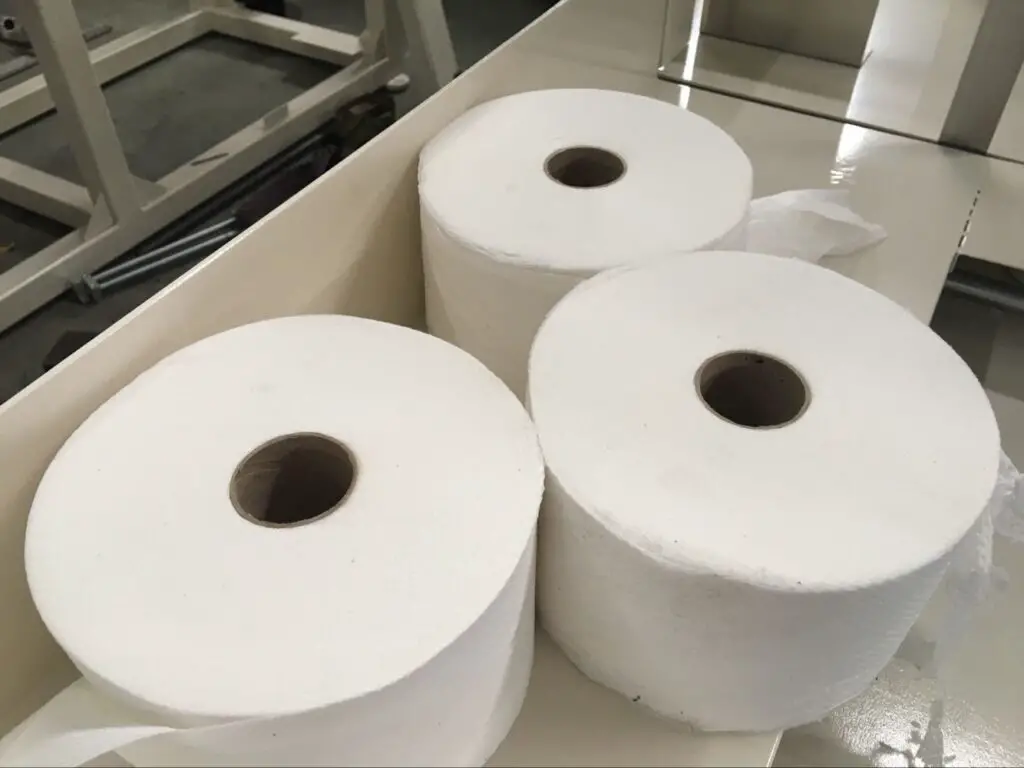 How Big is a Toilet Paper Roll?