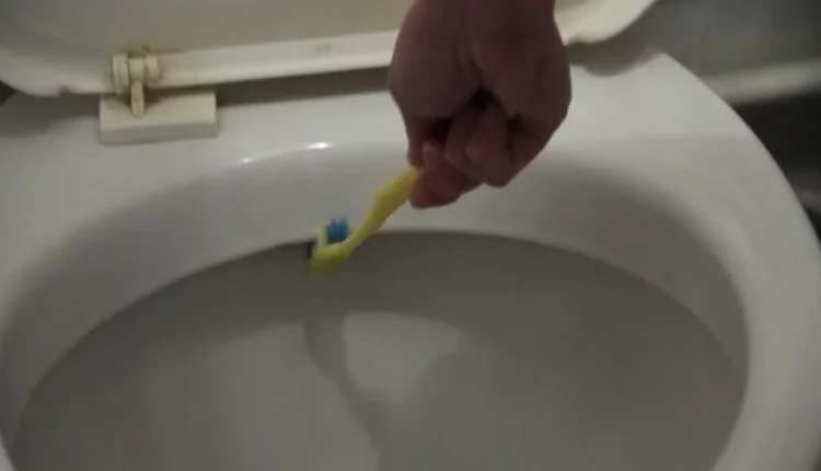 How to Clean a Toothbrush that Fell in the Toilet
