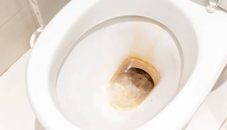 How Dirty is Toilet Water
