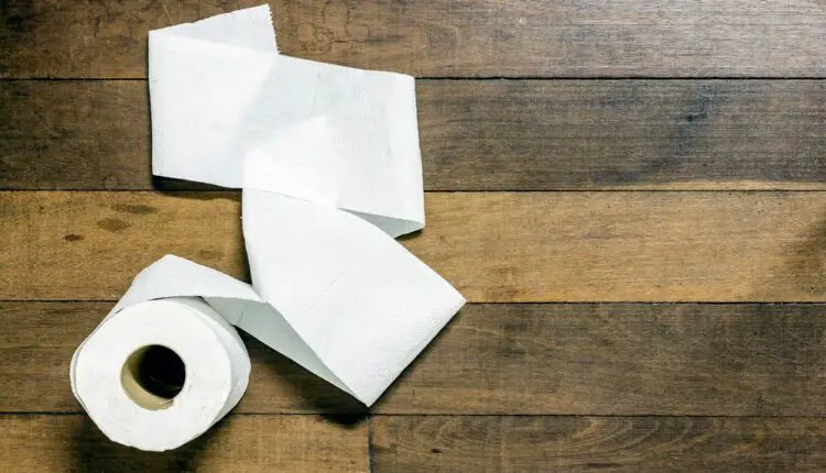 How to Stop Eating Toilet Paper