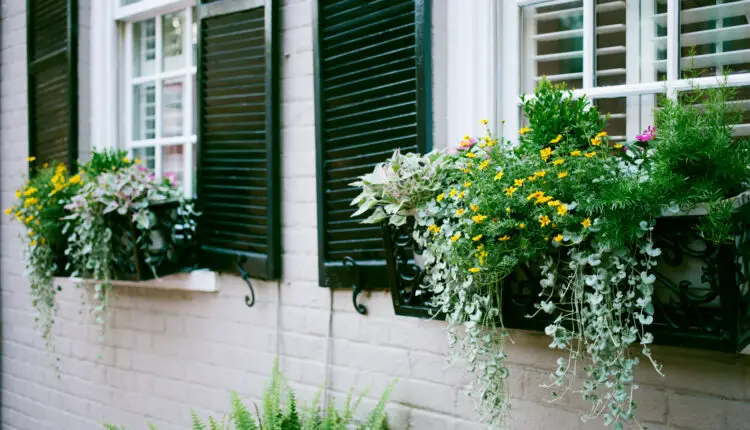 How to Hang Window Boxes without Drilling