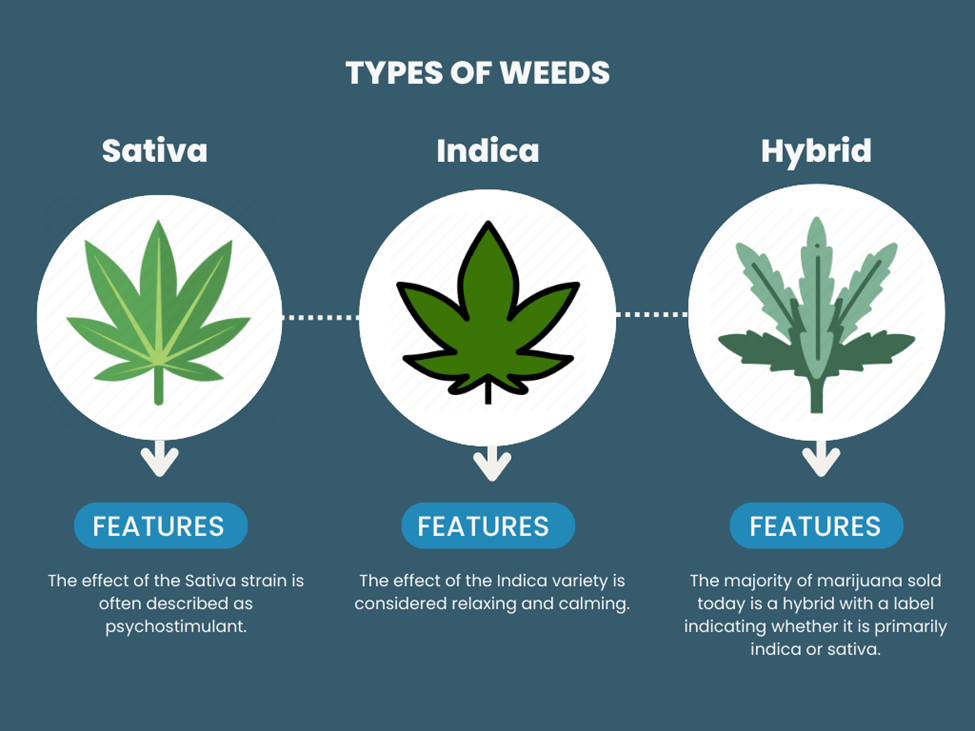 Types of Weed