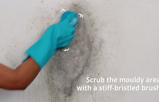 Remove the Mold.