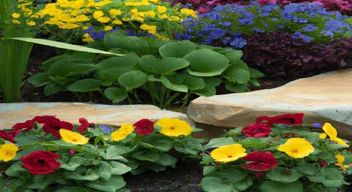 Add some color with annuals and perennials