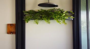 Add a small plant shelf above the door.