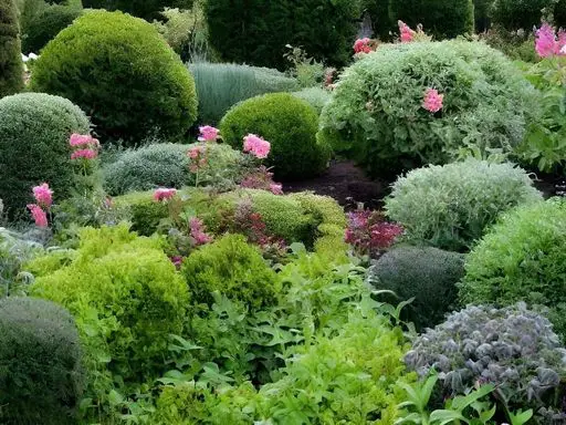 Shrubs to create a secret garden