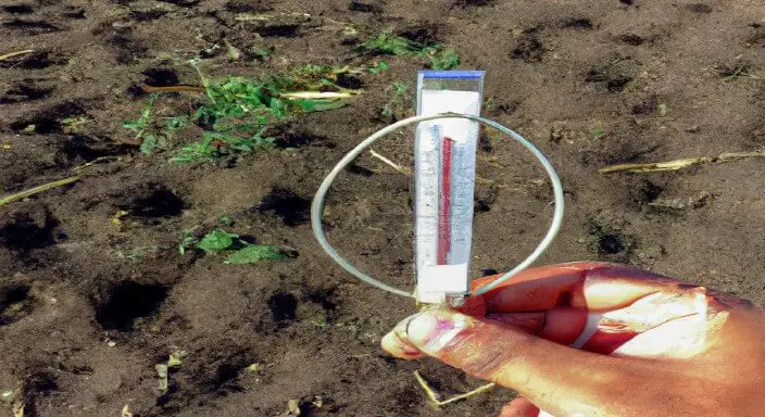 How to Determine Soil Temperature Without a Thermometer