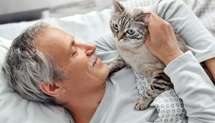 How to Get Rid of Cat Smell from Previous Owner