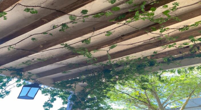 Hook vines and trailing plants to your porch ceiling