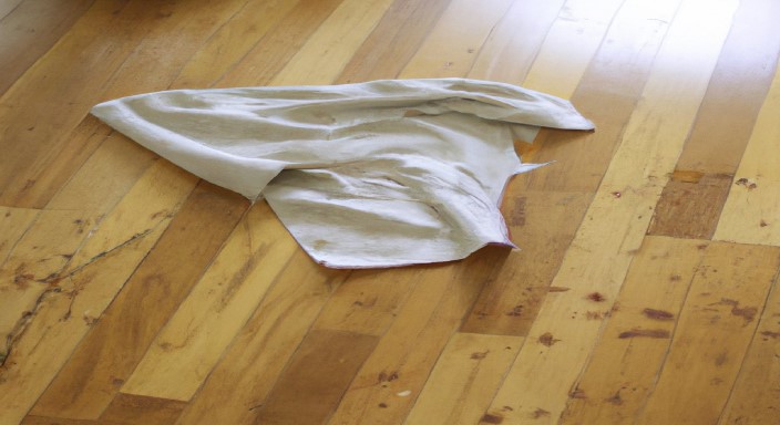 Wipe the floor with a damp cloth