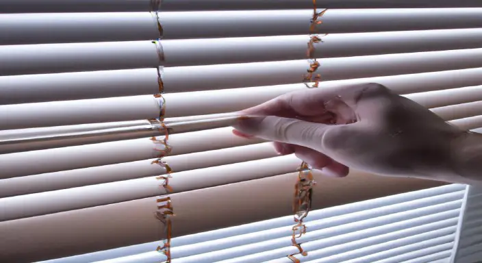 Identify the type of blinds you have