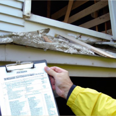 Check local regulations for asbestos siding covering.