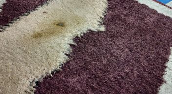 Blot Dry the Rug