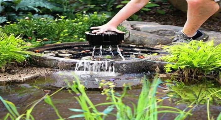 Refill the pond with clean water 