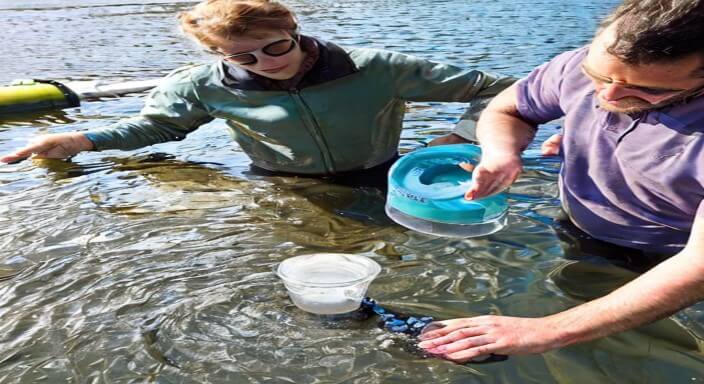 Test the water quality to ensure it meets safety standards. 