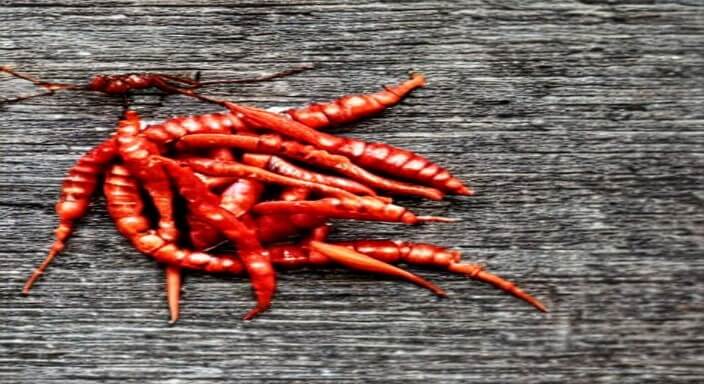 Use natural deterrents, like cayenne pepper
