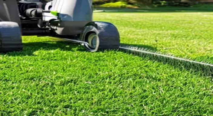 4. Preparing Your Lawn for Johnson Grass Control