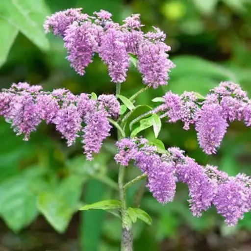 Snip off any discolored or mushy foliage