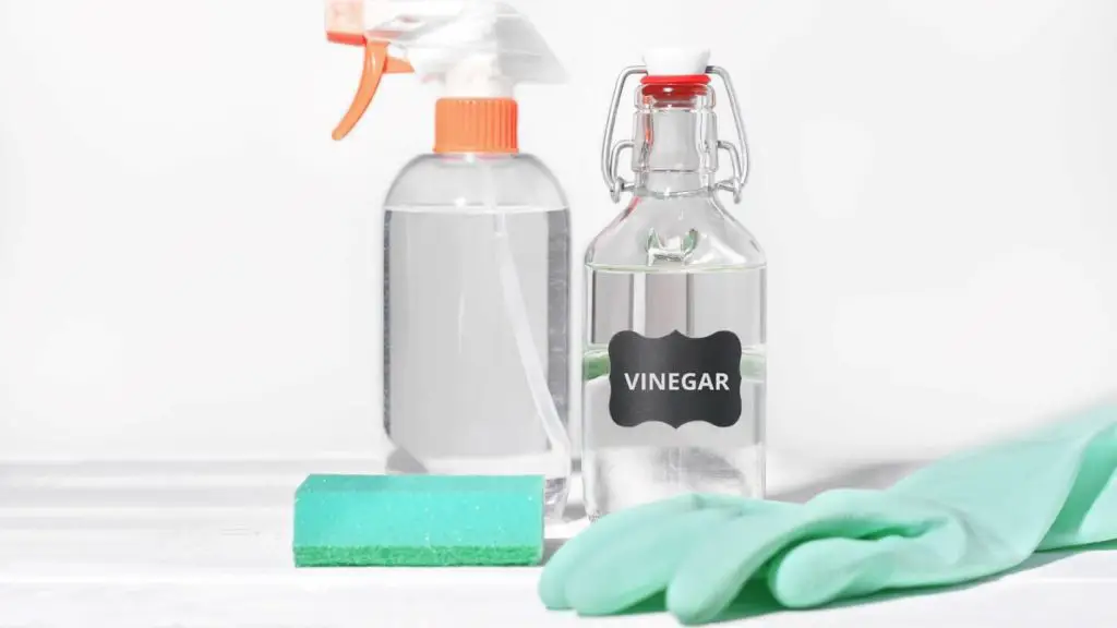 Dilution: Mix equal white vinegar and water in a spray bottle.
